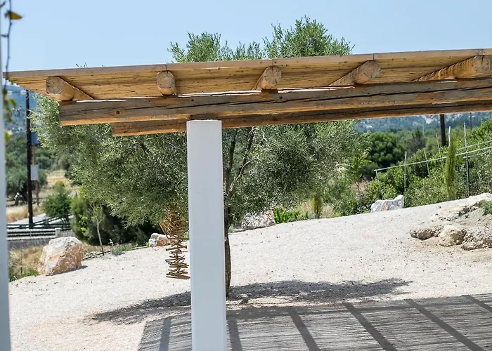 Clara * غينادي