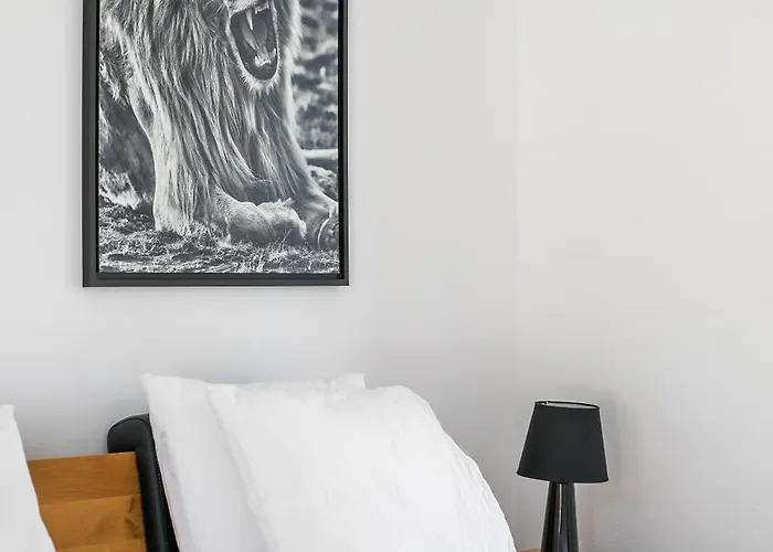 Clara فيلة غينادي