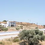 Clara فيلة *